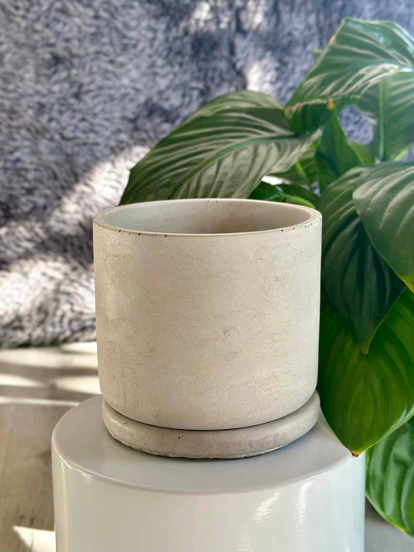 Round Cement Planter