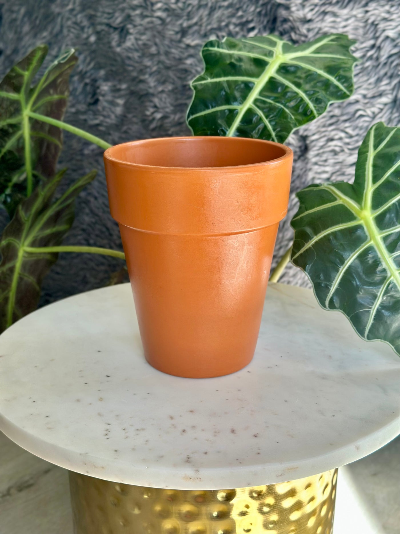 Tall Terracotta Pot
