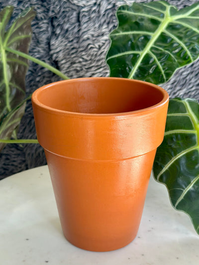 Tall Terracotta Pot