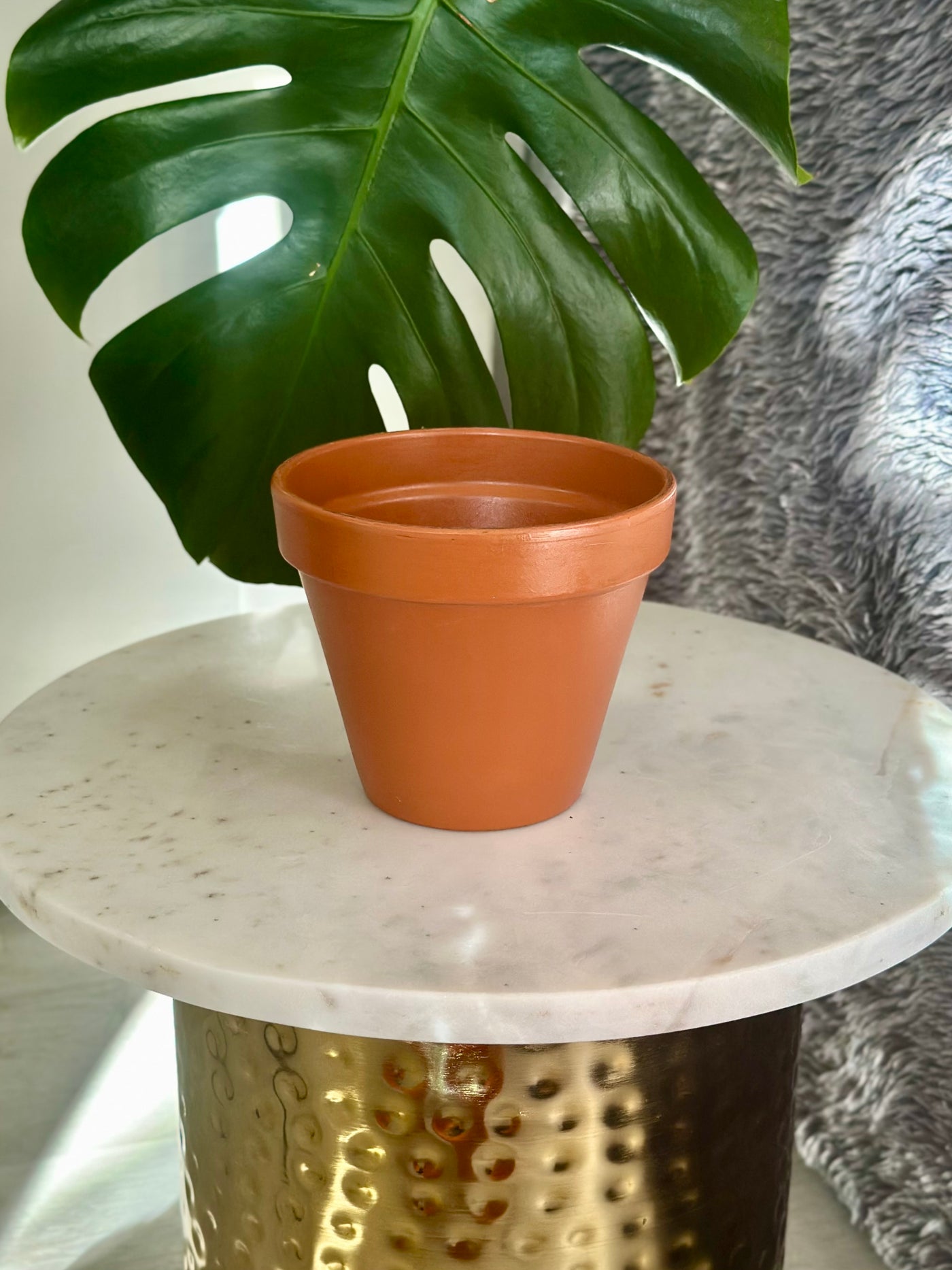 Terracotta Flower Pot