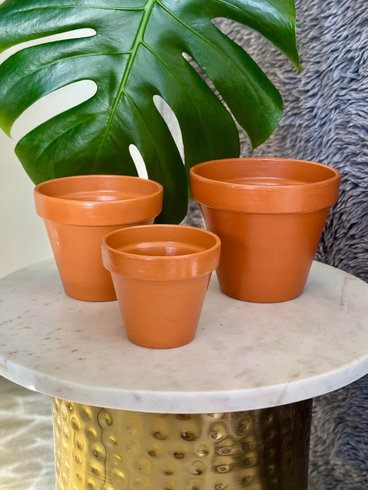 Terracotta Flower Pot