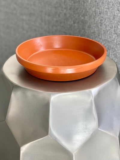 Bird Bath